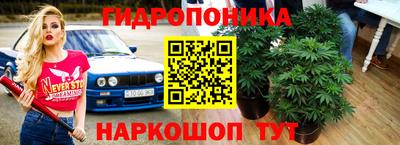 прущие грибы Ярославль