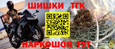 прущие грибы Ярославль