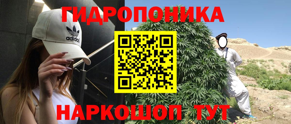 Уфа  Конопля ГИДРОПОН  Каннабис MAZAR  Бошки марихуана марихуана  Канабис сатива  Вход с VPN 
